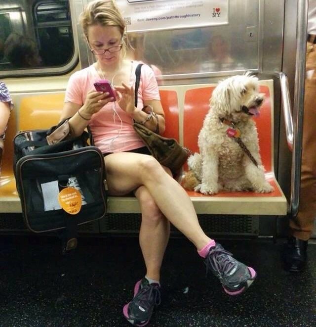 Manspreading Is Not An Issue And Bored Women Need To Stop Trying To Make It One Mensrights