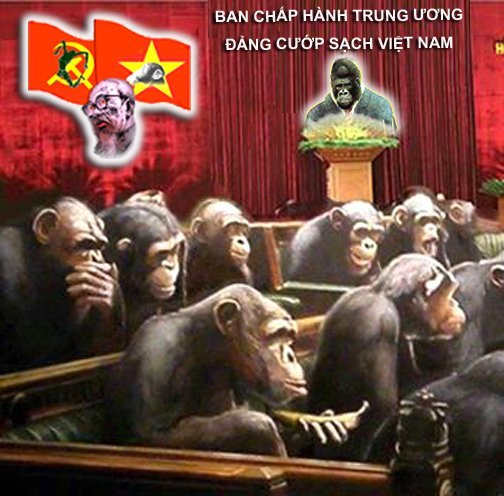 Ảnh Thu Nhỏ