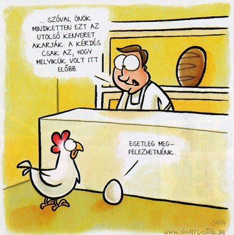 Kép