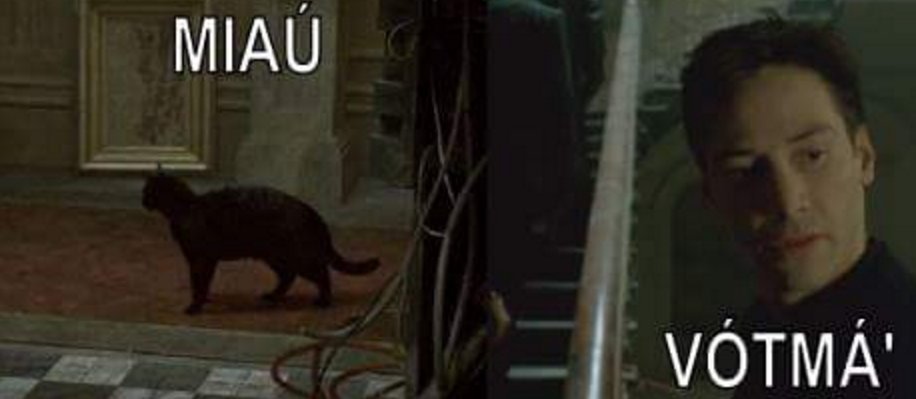 Kép