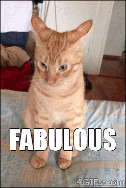 original.gif?w=600&h