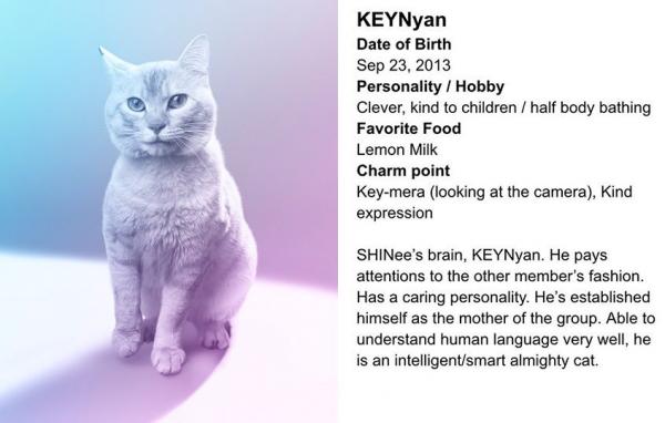 original.jpg?w=600&h