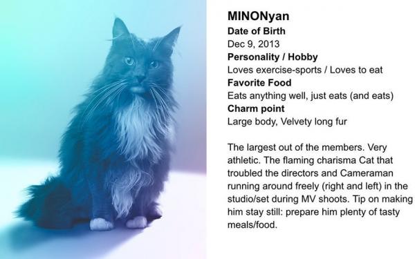 original.jpg?w=600&h