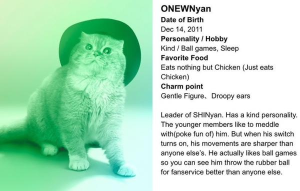 original.jpg?w=600&h