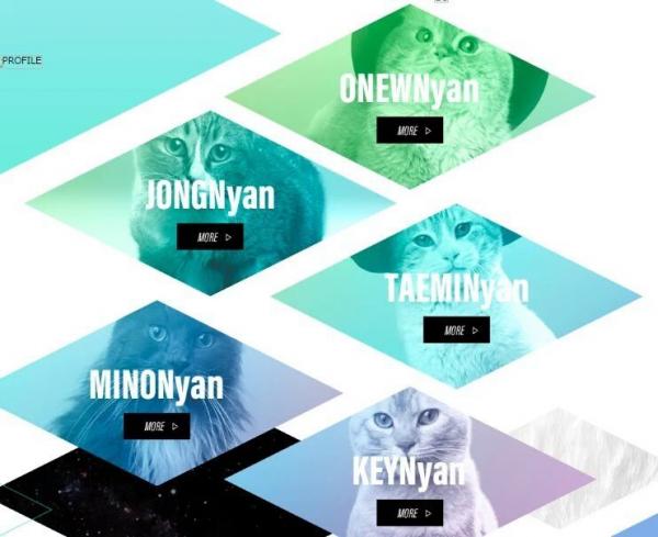 original.jpg?w=600&h