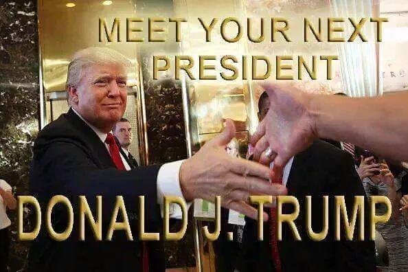 original.jpg?w=800&h