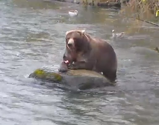 katmai leather backpack