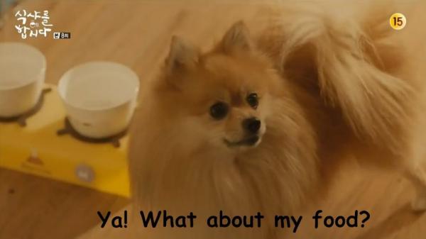 original.jpg?w=600&h