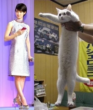 original.jpg?w=600&h