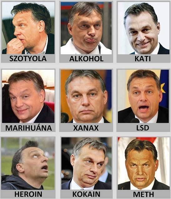 Kép