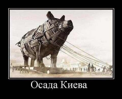 original.jpg?w=800&h