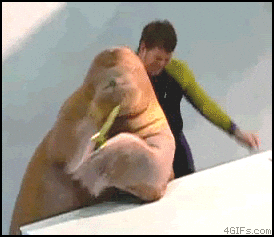 get