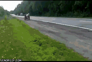 get