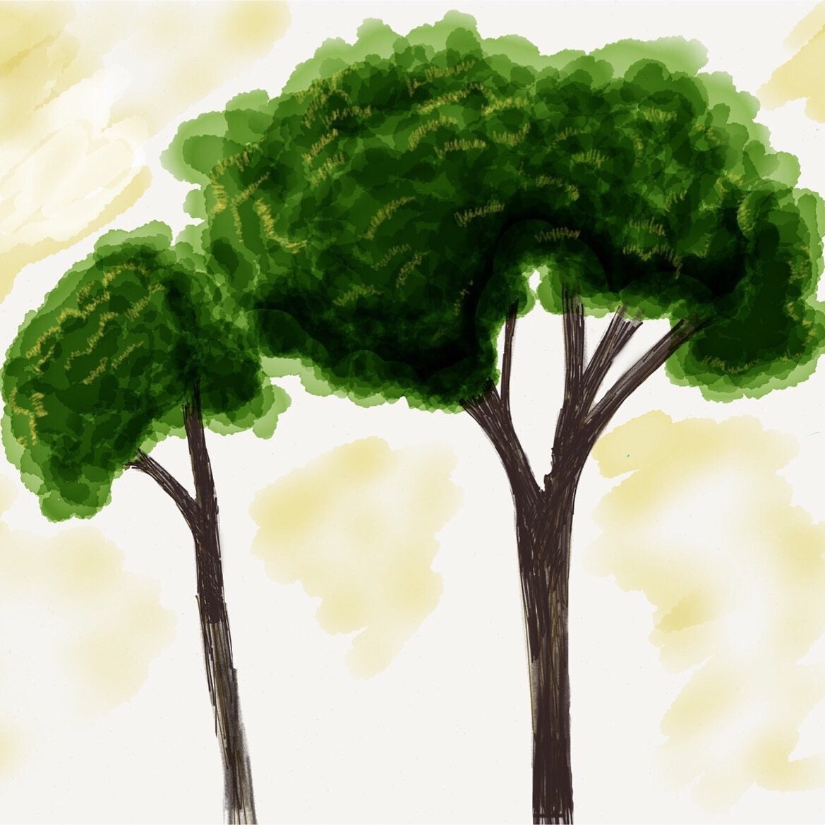 Paper by 53 tree drawing
