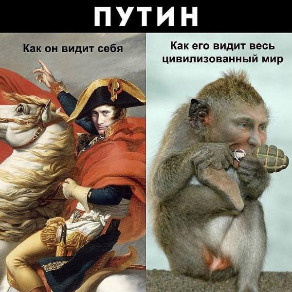 Боевики обстреляли "Авдеевский коксохимический завод", - пресс-центр АТО - Цензор.НЕТ 4848