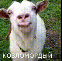 Асад поблагодарил Россию, Иран и "Хезболлу" за поддержку - Цензор.НЕТ 1289