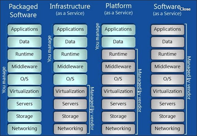 Packaged Software, IAAS, PAAS, SAAS